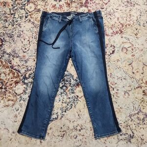 Torrid Feel the Fit Jeans Side Stripe Elastic Drawstring Waist Size 3R (22 / 24)